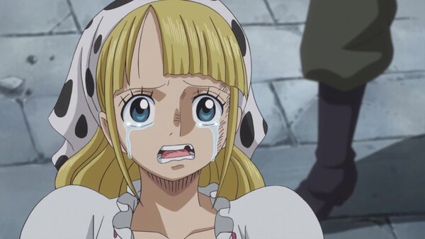 One Piece Episode 880 info and links where to watch