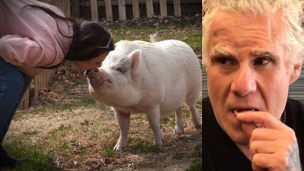 Dr. Phil - S17E149 - I Treat My Pet Pigs Better Than My Noisy-Eating Fiancé