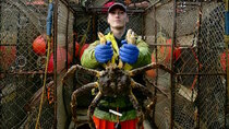 Deadliest Catch - Episode 3 - Knife in the Ribs