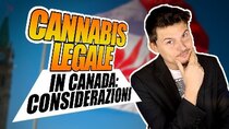 Breaking Italy - Episode 23 - Legalizzazione in Canada: merito di POLITICA o SOCIETÀ?