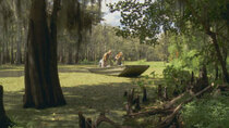 Swamp People - Episode 13 - Rolling with the Punches