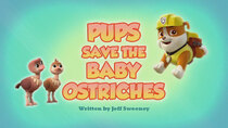Paw Patrol - Episode 12 - Pups Save the Baby Ostriches