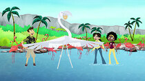Wild Kratts - Episode 1 - Mystery of the Flamingo's Pink