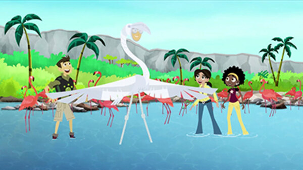 Wild Kratts Mystery Of The Mini Monkey Models Wild Kratts Season 6 Episode 1