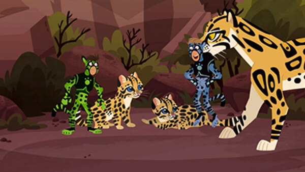 Wild Kratts Season 6 Episode 2