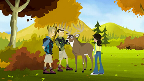 Wild Kratts Season 6 Episode 3