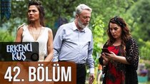 Erkenci Kus - Episode 42 - Deli Gibi Aşıklar