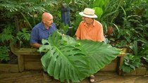 Gardening Australia - Episode 17