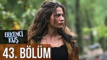 Erkenci Kus - Episode 43 - Aşığım