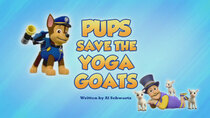 Paw Patrol - Episode 14 - Pups Save the Yoga Goats