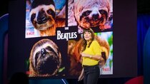 TED Talks - Episode 108 - Lucy Cooke: Sloths! The strange life of the world's slowest mammal