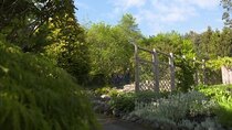 The Beechgrove Garden - Episode 6