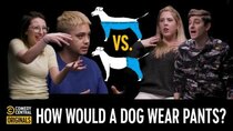Agree to Disagree - Episode 6 - How Would a Dog Wear Pants?