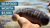 So Expensive - Episode 3 - Why Sea Cucumbers Are So Expensive
