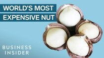 So Expensive - Episode 10 - Why Macadamia Nuts Are So Expensive