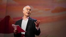 TED Talks - Episode 132 - David Brooks: The lies our culture tells us about what matters...