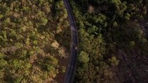 Fast Layne - Episode 5 - Mile 5: Road Trip