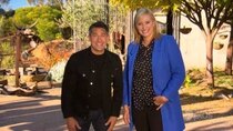 Better Homes and Gardens - Episode 20