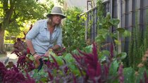 Gardening Australia - Episode 19