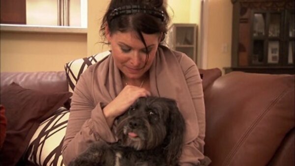 It S Me Or The Dog Us Season 1 Episode 17