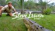 The Steve Irwin Story