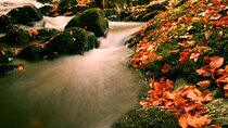 BBC Documentaries - Episode 136 - The River: A Year in the Life of the Tay