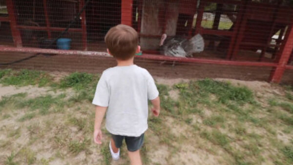 KKandbabyJ - S2019E176 - Attacked By Unlikely Creature At The Farm!