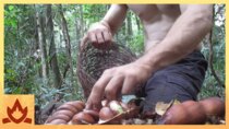 Primitive Technology - Episode 5 - Making poisonous Black bean safe to eat (Moreton Bay Chestnut)
