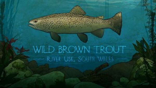 Mortimer & Whitehouse: Gone Fishing - S02E01 - Wild Brown Trout: River Usk, South Wales