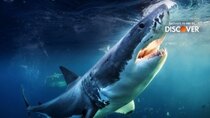 Shark Week - Episode 17 - Sharks Gone Wild 2