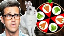 Good Mythical Morning - Episode 124 - Can We Bet On What This Bunny Wants? (GAME)