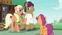 My Little Pony: Friendship Is Magic - Episode 12 - The Last Crusade