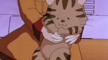 Waga Seishun no Arcadia: Mugen Kidou SSX - Episode 16 - The Cat Found In Space