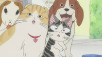 Chii's Sweet Home: Atarashii O'uchi - Episode 104 - Chii Makes a Family.