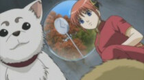 Gintama - Episode 130 - Cat-Lovers and Dog-Lovers Never Keep Peace
