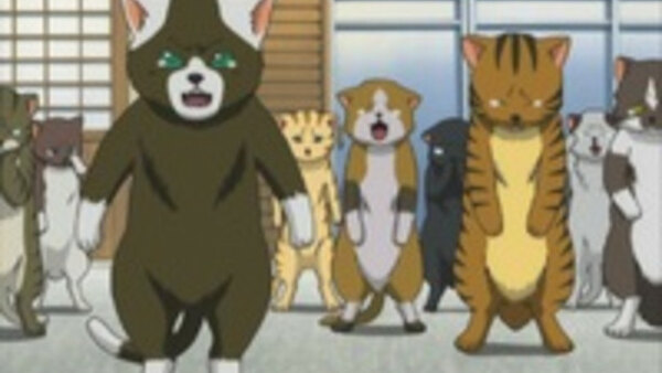 Gintama - Ep. 129 - Watch Out for Your Pet Eating Off the Floor