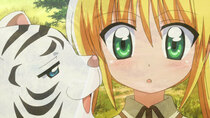 Hayate no Gotoku!! - Episode 21 - Somehow Our Own Cat is the Very Cutest
