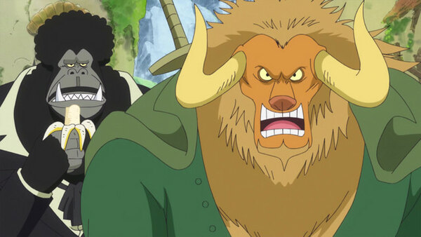 One Piece - Ep. 890 - Marco! The Keeper of Whitebeard's Last Memento!