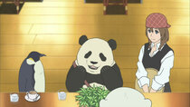 Shirokuma Cafe - Episode 42 - Polar Bear's Insomnia / Mr. Grizzly's First Love