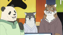 Shirokuma Cafe - Episode 34 - Wolf's Occupation Change / Mr. Penguin's New Love!