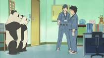 Shirokuma Cafe - Episode 26 - The New Panda / Reunion at the Grizzly Bar