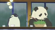 Shirokuma Cafe - Episode 23 - Mr. Handa's Discussion / Panda Mama's Daily Life
