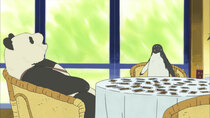 Shirokuma Cafe - Episode 22 - Sales Penguin / Mr. Penguin Picnic