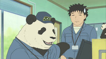 Shirokuma Cafe - Episode 21 - Panda Is No Longer a Panda / Mei Mei's Prince