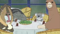Shirokuma Cafe - Episode 12 - Panda, Tired of Boredom / Panda's Advice Room for Troubles
