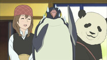 Shirokuma Cafe - Episode 11 - Mr. Penguin's Broken Heart / Panda's Night Out