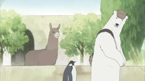 Shirokuma Cafe - Episode 3 - Polar Bear Goes to the Zoo / Panda's Problems