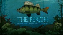 Mortimer & Whitehouse: Gone Fishing - Episode 4 - The Perch: Upper Tamar Lake, Devon and Cornwall