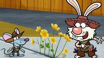 Nature Cat - Episode 27 - Daisy's Wildflower Round-Up