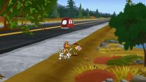 Nature Cat - Episode 6 - Why Did the Turtle Cross the Road?